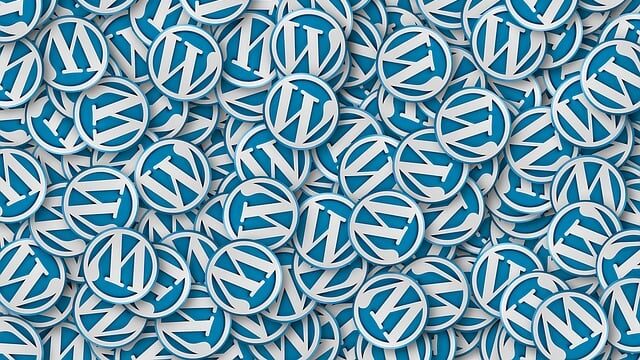 🛠️ 5 הרכיבים הקריטיים ביותר לתחזוקת אתר וורדפרס אתר